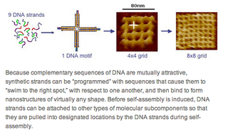 Illustration for article titled A 3D printer that manufactures new cancer drugs with drag-and-drop DNA
